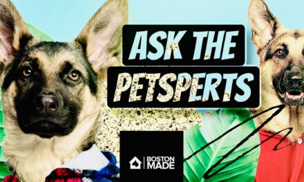 Ask The Petsperts