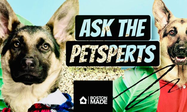 Ask The Petsperts