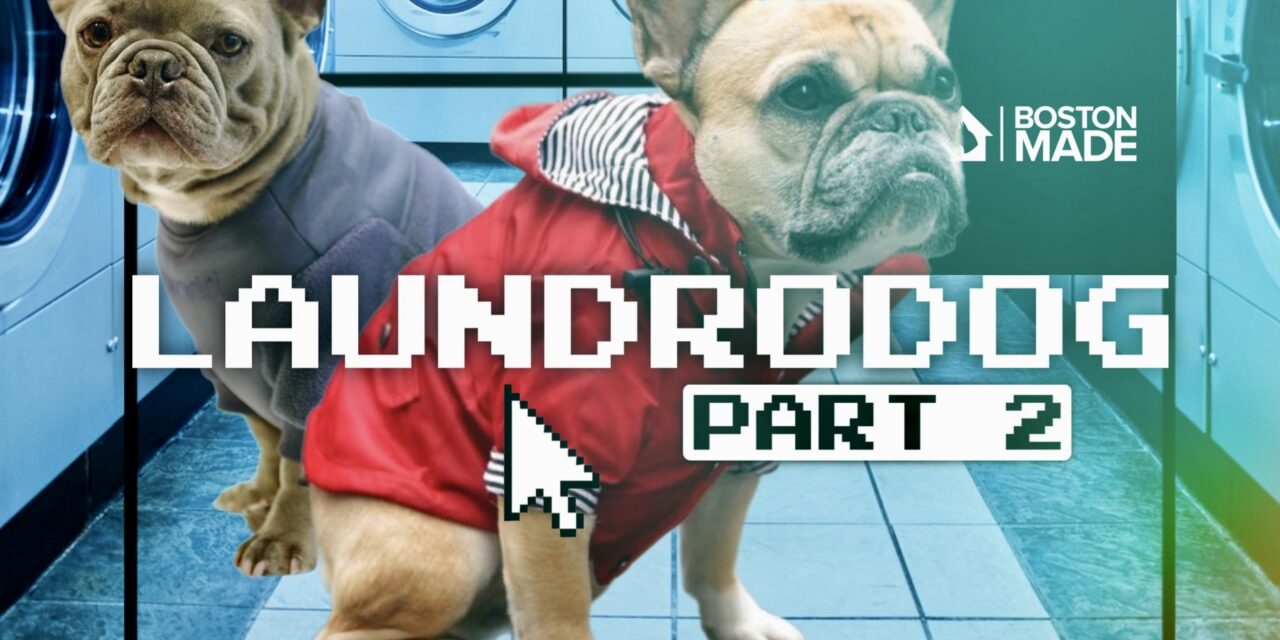 Laundrodog: Part 2