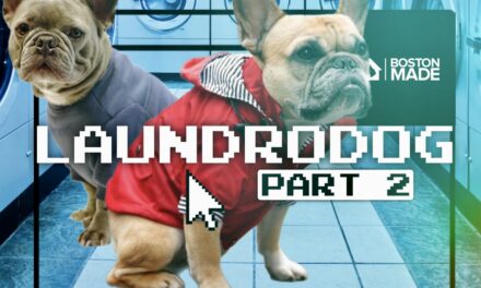 Laundrodog: Part 2