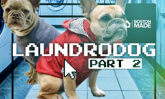 Laundrodog: Part 2