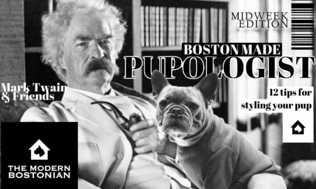 Boston Made Pupologist: 12 Tips For Styling Your Pup