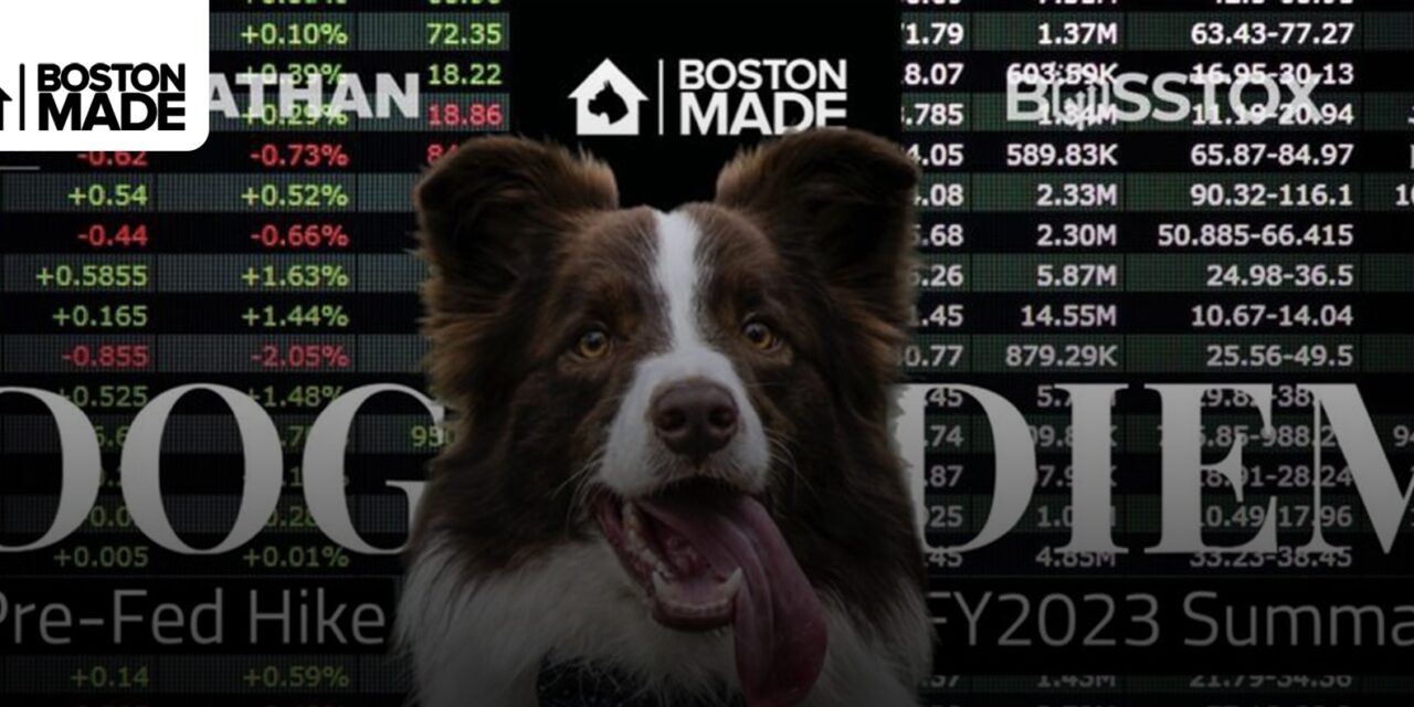 Welcome To Dog DIEM By Boston Made