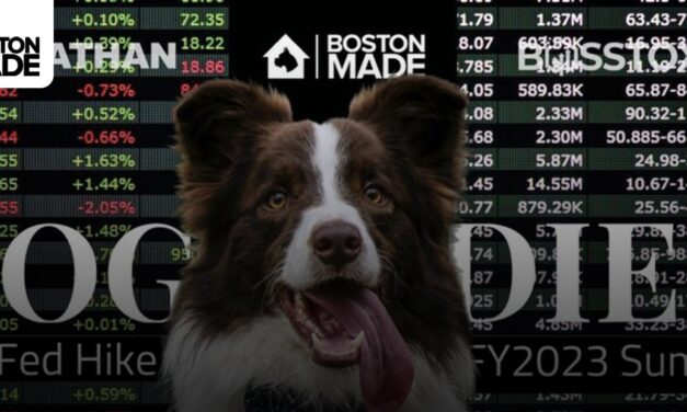 Welcome To Dog DIEM By Boston Made