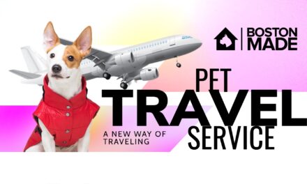 Boston Made Pet Travel Service