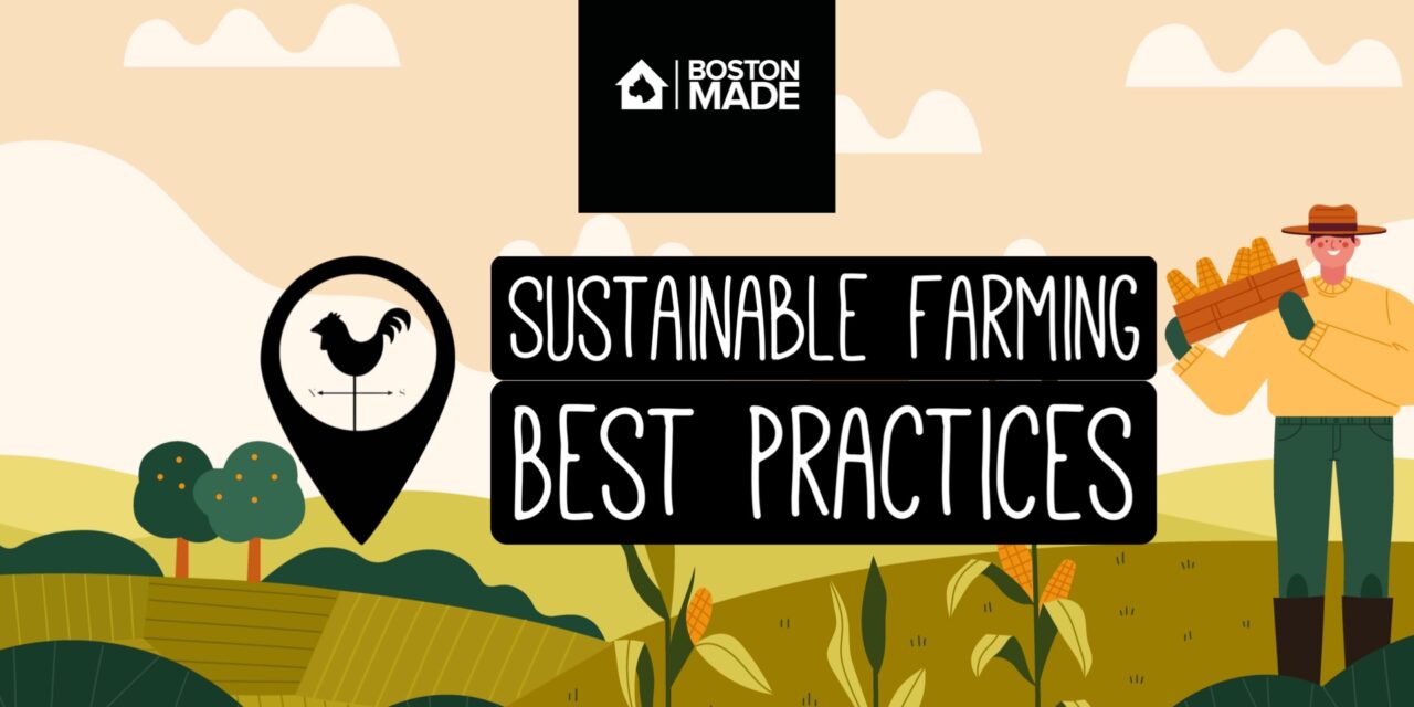 Sustainable Farming: Best Practices