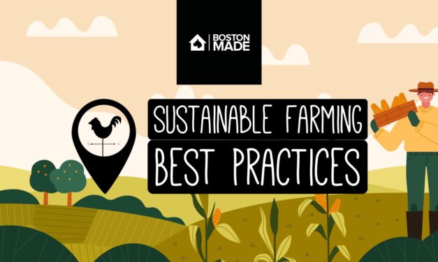 Sustainable Farming: Best Practices