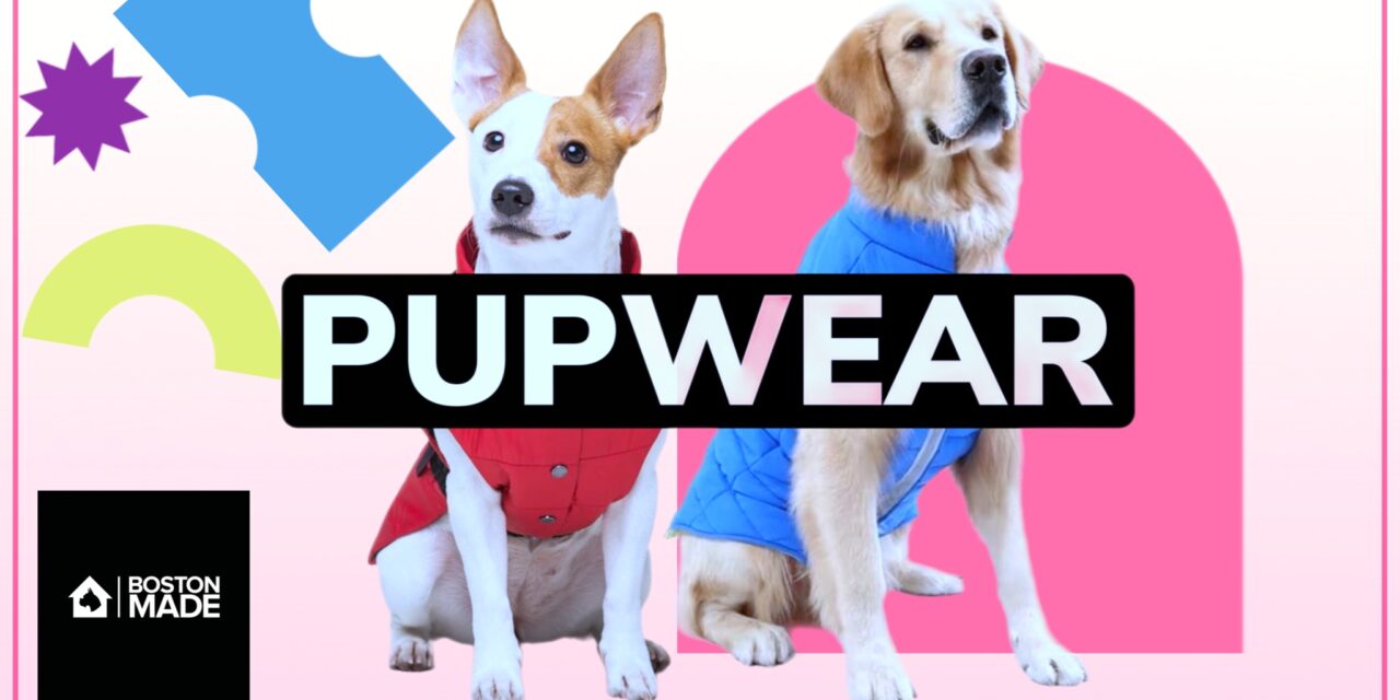 Pupwear (Part 2)