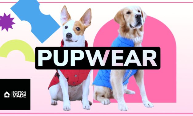 Pupwear (Part 2)