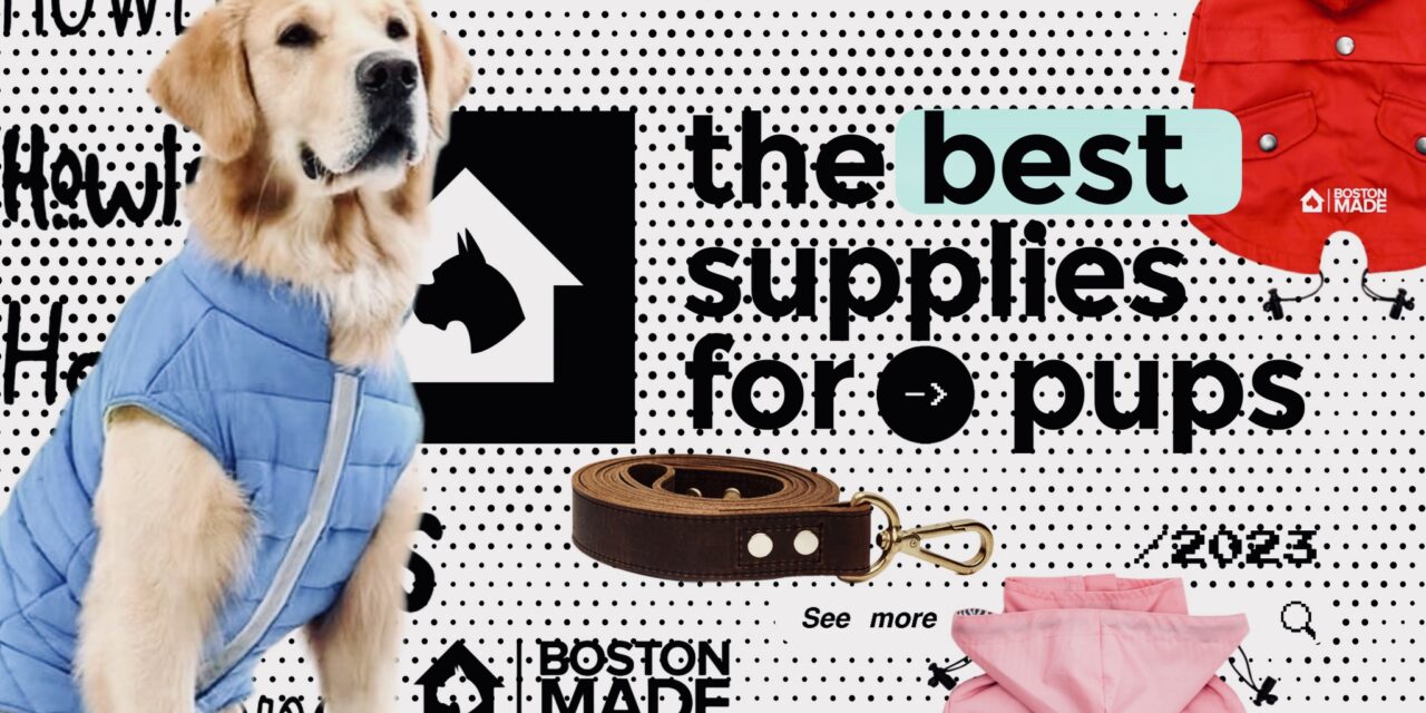 Boston Made Pets By Pupwear: The Best Supplies For Pups