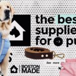 Boston Made Pets By Pupwear: The Best Supplies For Pups