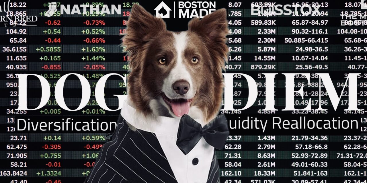 Dog DIEM: Diversification, Liquidity Reallocation