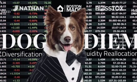 Dog DIEM: Diversification, Liquidity Reallocation