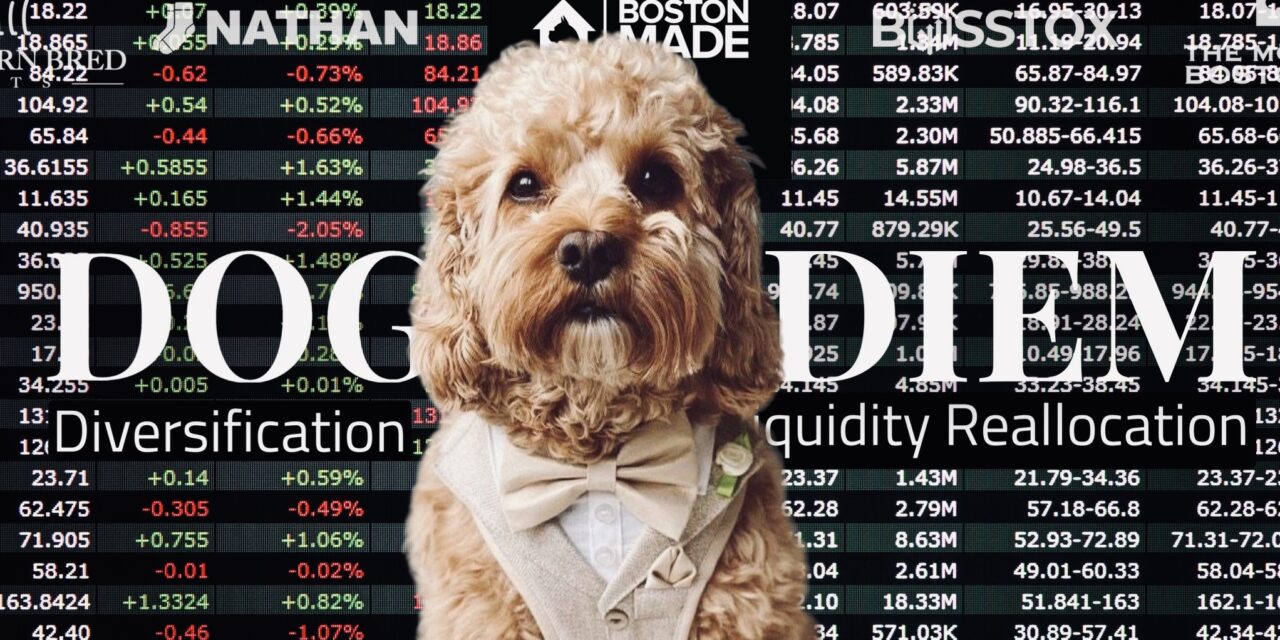 Dog DIEM: Diversification, Liquidity Reallocation (Part 2)