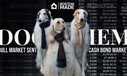 Dog Diem: Bull Market Sentiment & Cash Bond Market