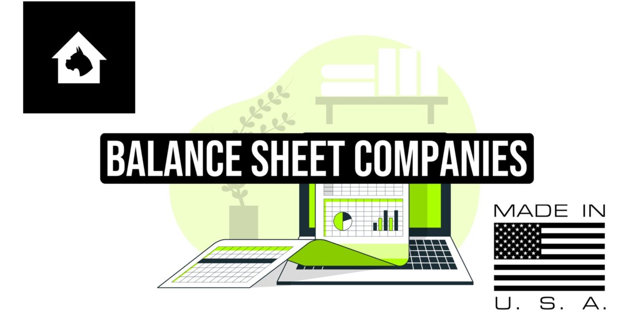 Balance Sheet Companies