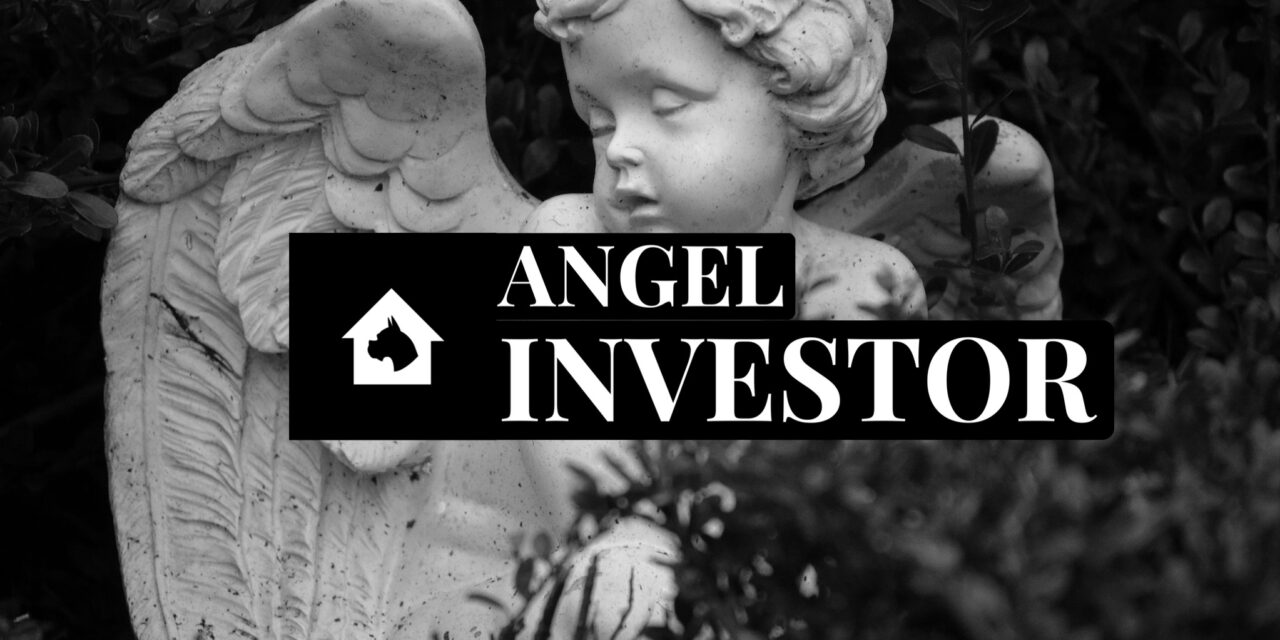 The Role of an Angel Investor in Startup Success