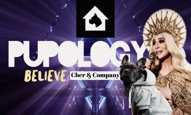 Pupology: Believe (Cher & Company)