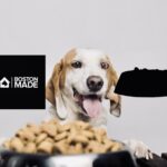 Boston Made Holistic Pet Food