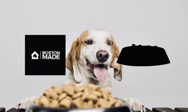 Boston Made Holistic Pet Food