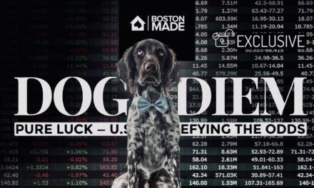 Dog DIEM: Pure Luck –– U.S.A. Defying The Odds