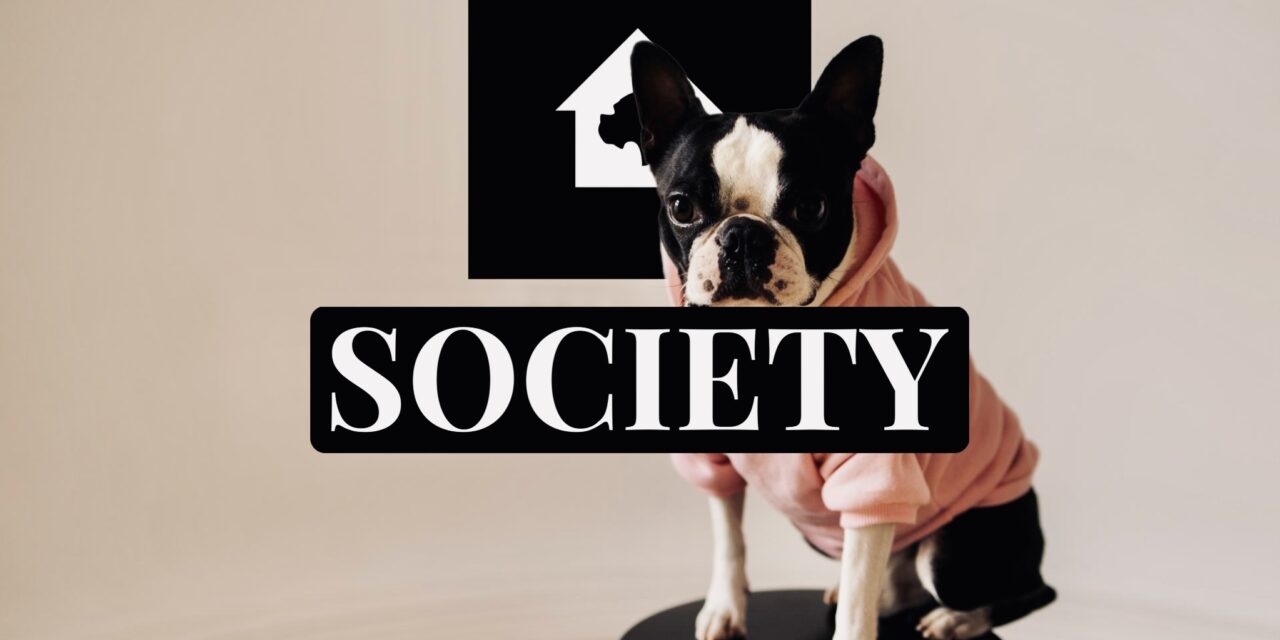 Boston Made Society