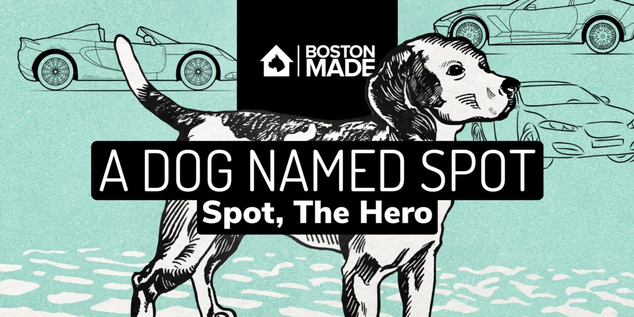 A Dog Named Spot: Spot, The Hero