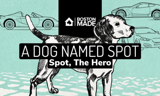 A Dog Named Spot: Spot, The Hero